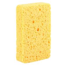 Cellulose Sponge